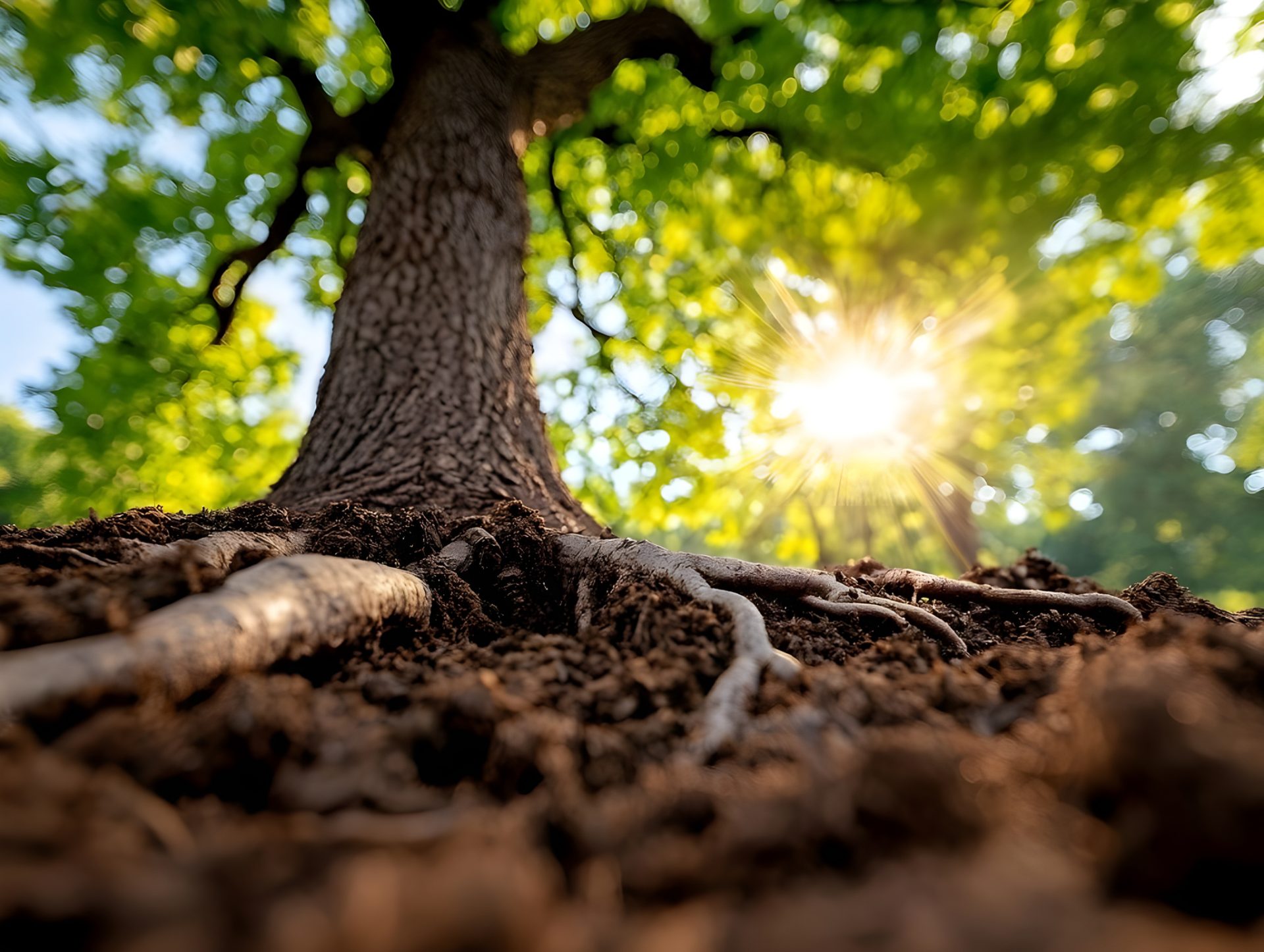 Helheten - KBT Blogg - Helheten KBT Stockholm - 03